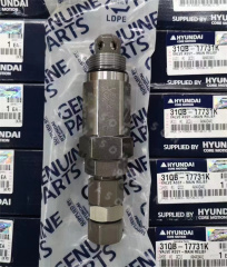 DX480/R480LC Excavator Main Relief Valve 31QB-17731K