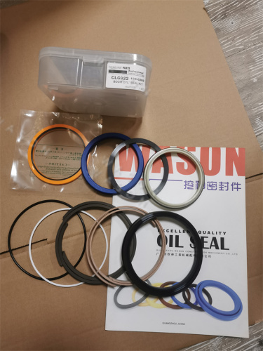 CLG922 Cylinder Seal Kit