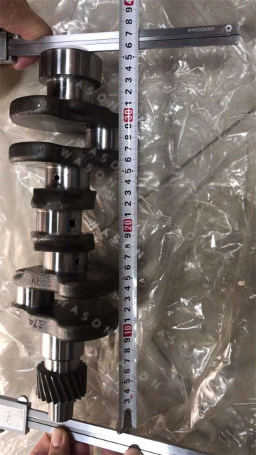 3TNE74 Original Crankshaft