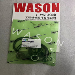 DH340 SWING MOTOR SEAL KIT