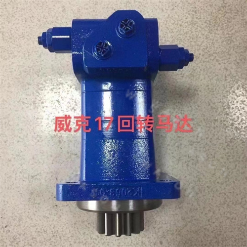 WEIKE17  Swing Motor Assy