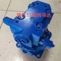 R17 Swing Motor Assy