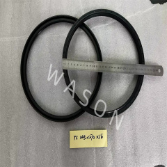 Oil Seal TC 245*270*16