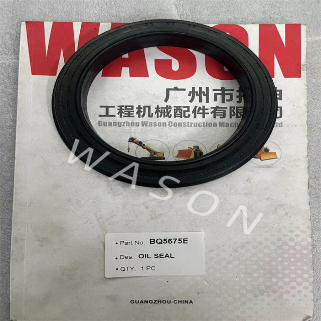 BQ5675E Oil Seal 115*155/164*12/21