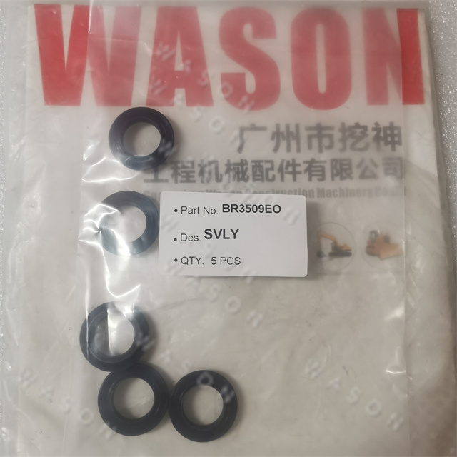 BR3509 Oil Seal