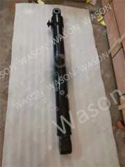 E312D BOOM ARM BUCKET Cylinder Assembly