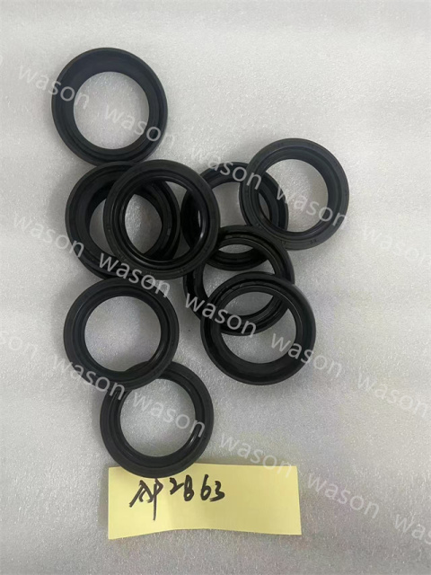 AP2B63 Oil Seal