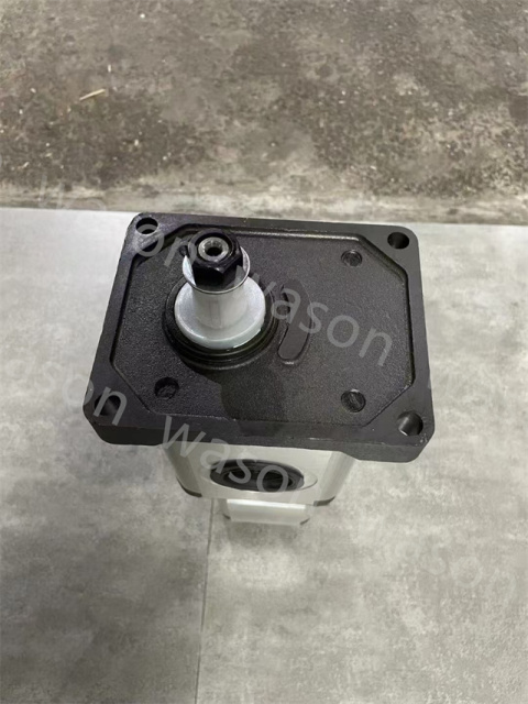 1GP30N2004 3TPW650+2XP140 Hydraulic Gear Pump