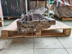 D13D Cylinder Head Assembly