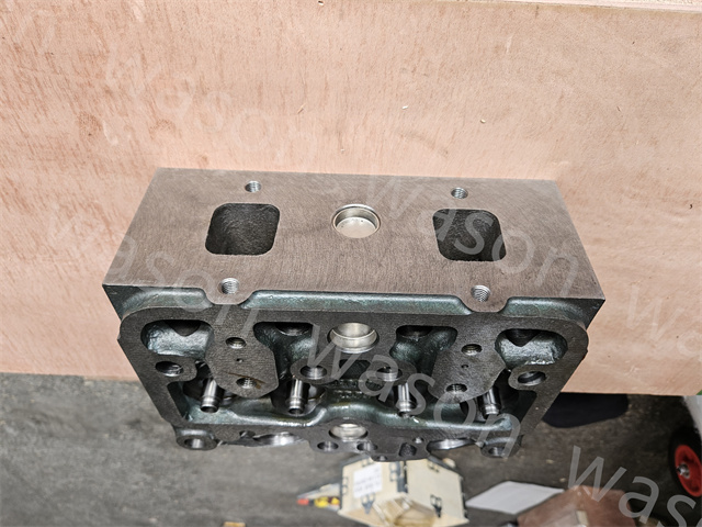 D1146 Cylinder Head Assembly