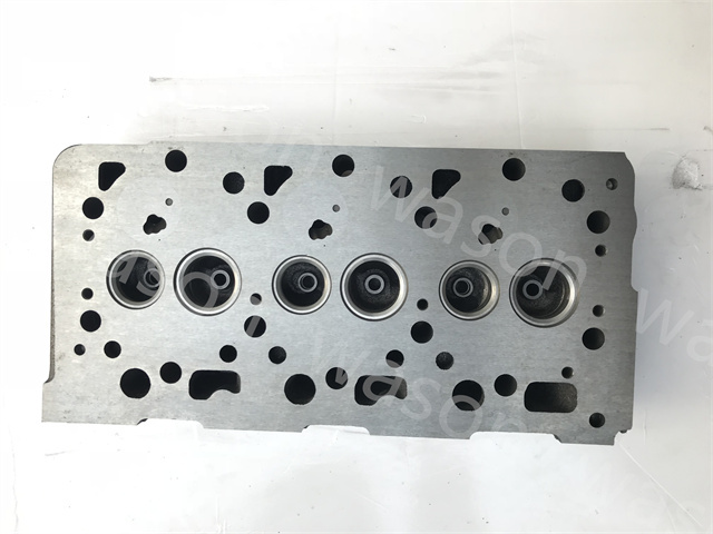 D1005 Cylinder Head Assembly