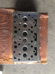 D1703 Cylinder Head Assembly