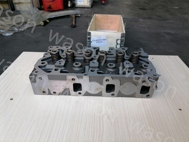 3TNV76 Cylinder Head assembly