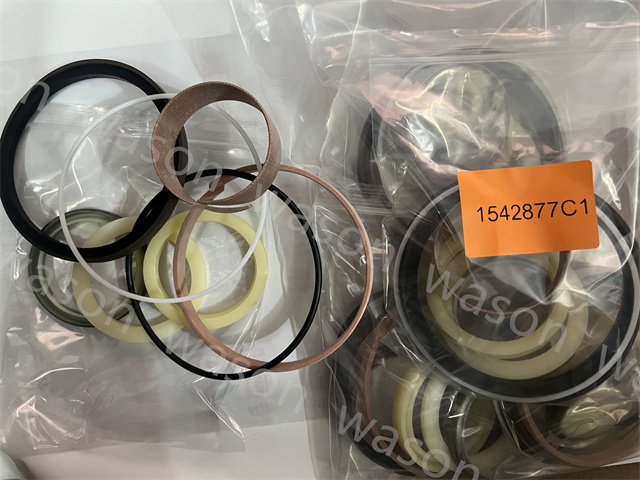 1542877C1 Hydraulic Cylinder Seal Kit