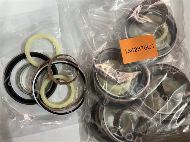 1542876C1 Hydraulic Cylinder Seal Kit