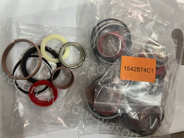 1542874C1 Hydraulic Cylinder Seal Kit