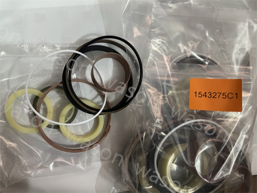 1543275C1 Hydraulic Cylinder Seal Kit
