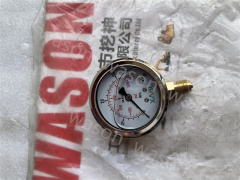 Pressure Gaues 40 MPA-psi Hydraulic Pressure Gauge 400Bar