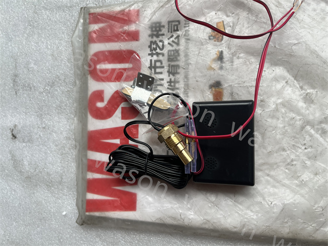 Digtal water temperature gauge