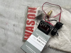 Digtal water temperature gauge