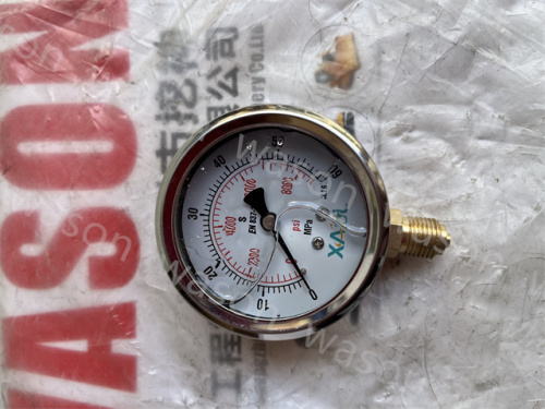 Pressure Gaues 60 MPA-psi Hydraulic Pressure Gauge 600Bar