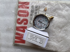 Pressure Gaues 60 MPA-psi Hydraulic Pressure Gauge 600Bar
