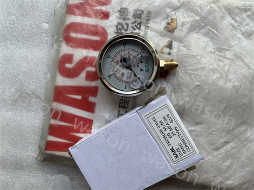 Pressure Gaues 25 MPA-psi Hydraulic Pressure Gauge 250Bar