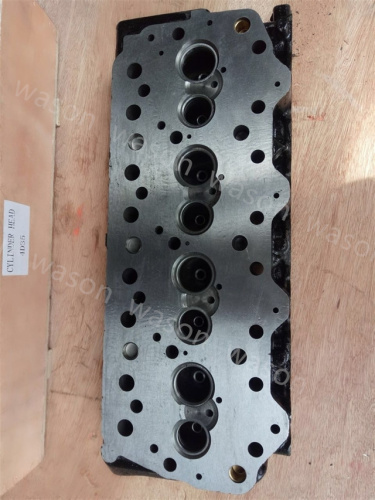 4D35 Cylinder Head Assembly
