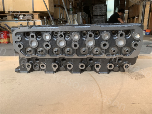4D31 Cylinder Head Assembly