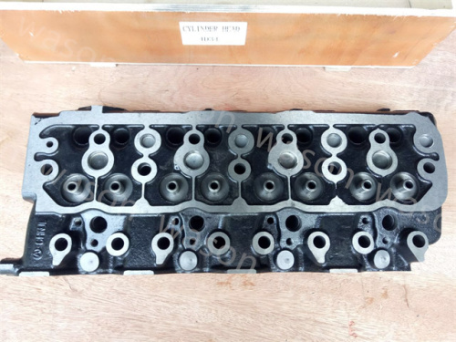 4D34 Cylinder Head Assembly