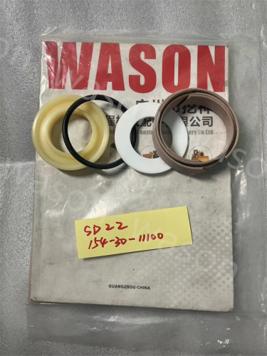 SD22 154-30-11100  ADJ SEAL KIT