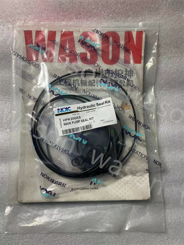 HPK300AS Hydraulic Cylinder Seal Kit