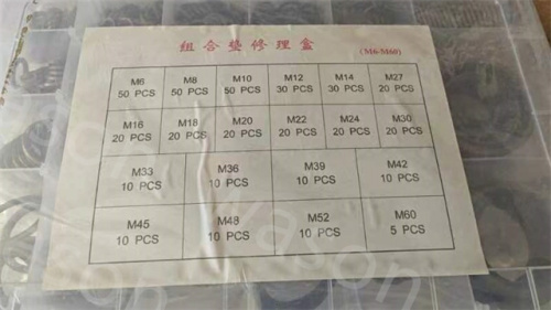 Combination Oil Seal Kit Loose Seal M6-M60
