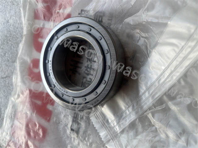 NUP210 Cylindrical Roller Bearing NUP210E