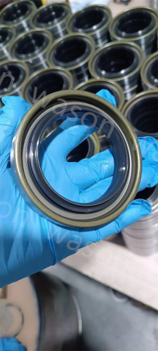 Oil Seal  30500176