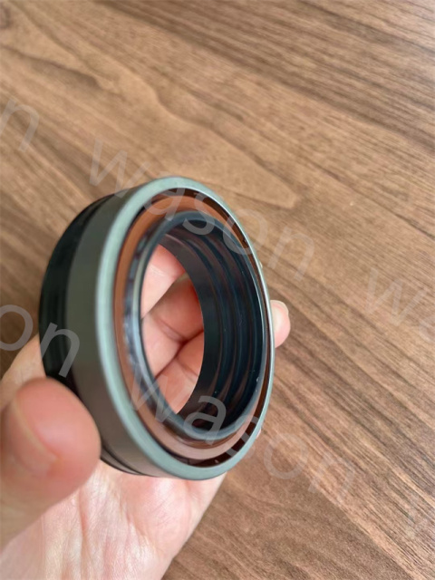 Oil Seal 3699802M2