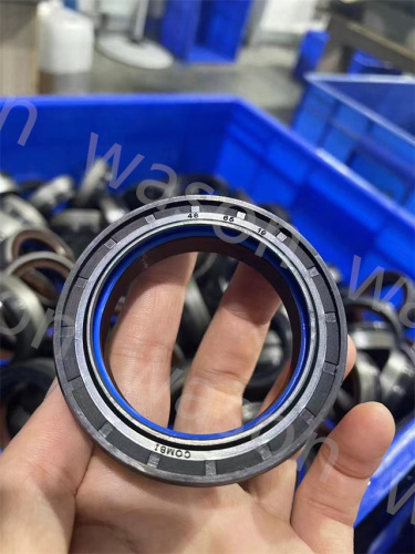 Oil Seal 12036965B