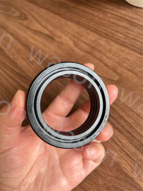Oil Seal 3699802M2
