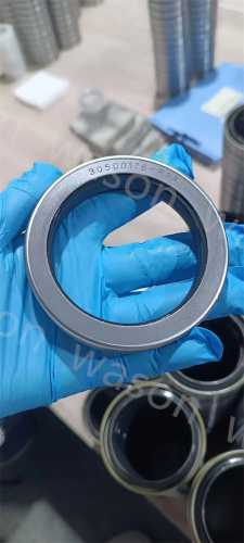 Oil Seal  30500176