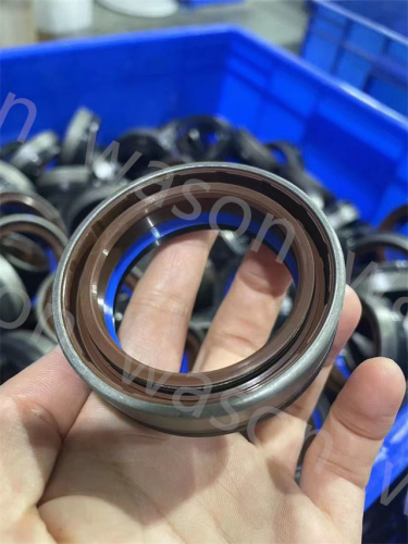 Oil Seal 12036965B
