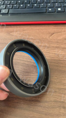 Oil Seal   3428942M1