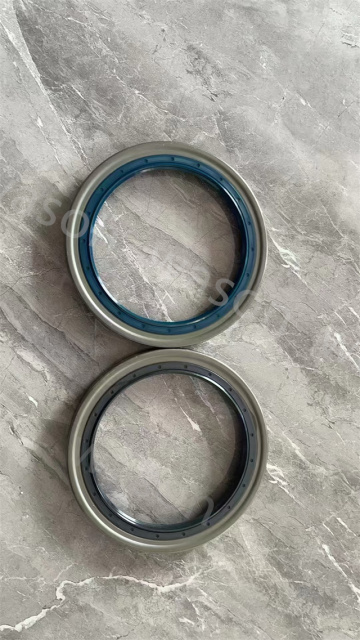 Oil Seal 00310SB-5700AR-OS 00050 127*165 1*16