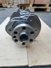 23110-23710 Crankshaft