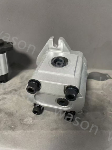 SNM2NN-8 11114494 Gear Pump