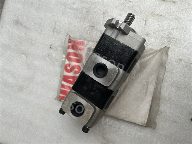 SD40*40L997 Gear Pump