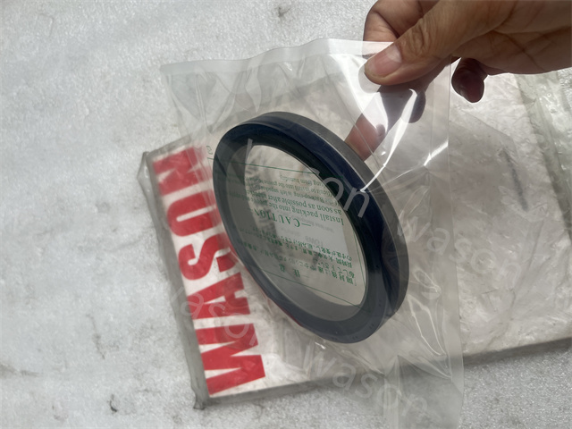 6WG1 BZ4837 Crankshaft Seal Rear