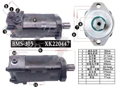 Hydraulic Gear Pump BMS-305 XK220447