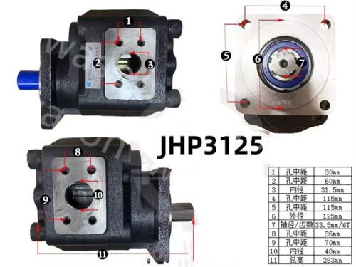 Hydraulic Gear Pump JHP3125