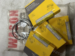 Piston Ring 4D56U