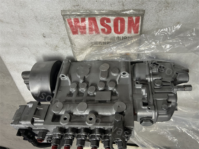 6WF1 Fuel injection Pump 116603-4202 108622-1242
